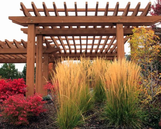 Pérgola de madera en jardín con vegetación ornamental en Castañares